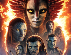 ����̹���